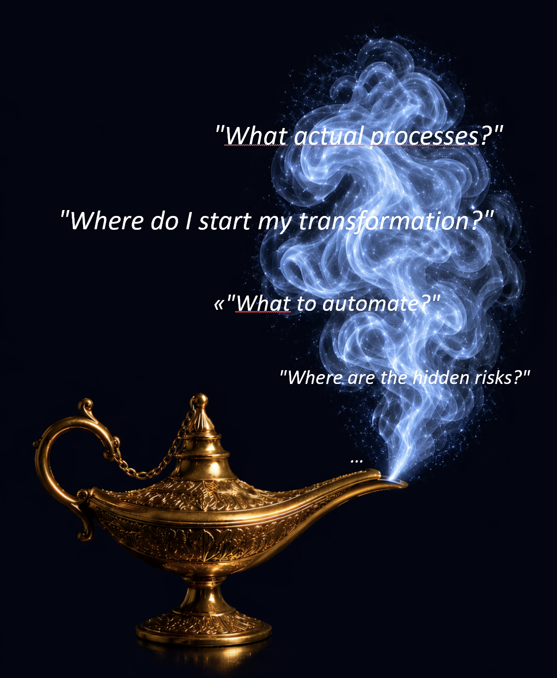 An Aladdin's lamp whose smoke reveals the questions executives ask: what is my real process, where does IT money go, which optimisations are possible.